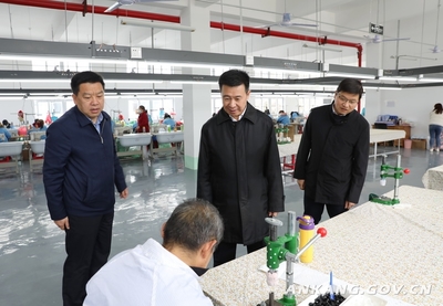 郭青到汉滨区茨沟镇暗访调研 巩固拓展脱贫攻坚成果同乡村振兴有效衔接，助力玩具销售产业升级